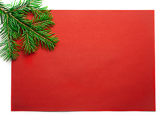 포토 JPG 해외이미지 모양 나무 식물 디자인 계절 실루엣 백그라운드 크리스마스 패턴 그림자 사람없음 장식 빨간색 초록색 공백 흰색 나뭇가지 신선 숲 묘사 오브젝트 부드러움 침엽수 시트 전나무 내추럴 고립 가문비나무 해외202004 해외포토 기념일 컬러 무늬 촬영기법 감각 파일형식 이미지허브