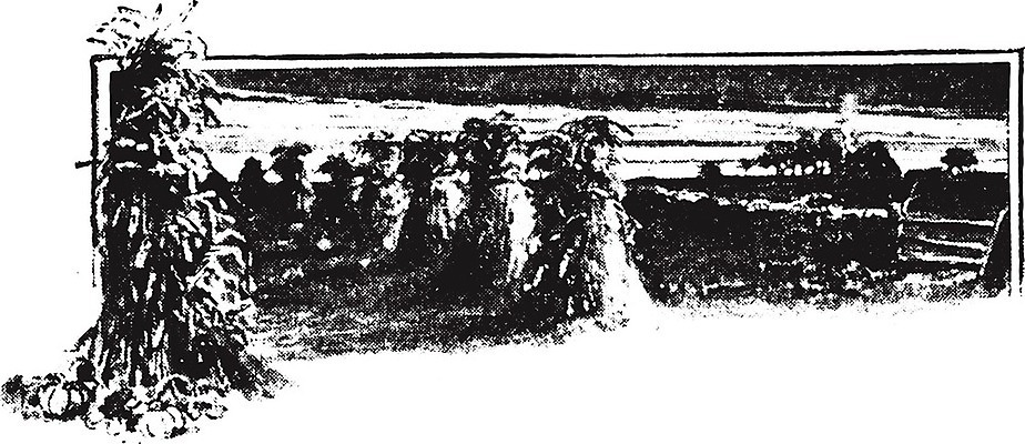 EPS 해외이미지 음식 일러스트 자연 옥수수 미술 검은색 수확 골동품 성장 흰색 역사 낟알 땅 시리얼 그림 유기농 알맹이 판화 내추럴 녹말 밭일 옛날 해외202004 해외일러스트 웰빙 컬러 농업 문화예술 곡류 생태계 파일형식 벡터 이미지허브