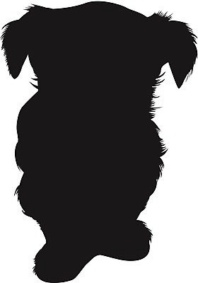 EPS 해외이미지 클립아트 동물 한마리 디자인 행복 실루엣 일러스트 컴퓨터그래픽 반려동물 컬러풀 머리 환경 검은색 가축 흰색 개 리트리버 강아지 시원함 만화 자르기 래브라도리트리버 가득함 심볼 서비스 그림 송곳니 고립 깊이 오해 강조 해외202004 해외일러스트 1 감정 컬러 포유류 모션 촬영기법 신체부위 그래픽 치아 파일형식 벡터 이미지허브