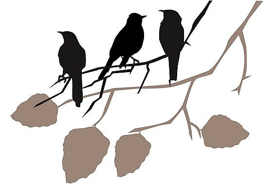 EPS 해외이미지 동물 실루엣 야생동물 결혼 백그라운드 날개 일러스트 부분 자연 조류 하늘 사랑 사람 연필 평화 검은색 침묵 펼침 자유 흰색 그룹 스케치 심볼 깃털 사인 비둘기 백조 문학 단아함 엘리먼트 우화 해외202004 해외일러스트 감정 컬러 컨셉 모션 학용품 촬영기법 미술 이벤트 필기구 소리 생태계 파일형식 벡터 이미지허브