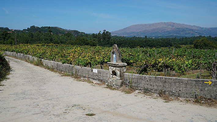 포토 JPG 해외이미지 식물 유럽 길 여행 밭 농업 자국 자연 휴가 파노라마 풍경 사람없음 야외 관광지 환경 산책 트래킹 하이킹 시골 숲 오솔길 포르투갈 생태계 서식지 내추럴 방법 백패커 순례 순례자 해외202004 해외포토 나라 산업 레저 휴식 촬영기법 파일형식 이미지허브