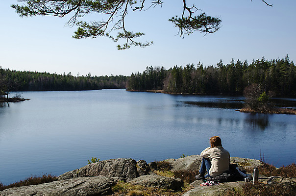 포토 JPG 해외이미지 나무 호수 여행 하늘 휴식 스웨덴 한명 사람 앉기 풍경 초록색 물 여름 파란색 반사 환경 침묵 봄 하이킹 숲 장면 단절 삼림지대 해외202004 해외포토 자연요소 식물 1 계절 컬러 컨셉 모션 레저 북유럽 소리 파일형식 이미지허브