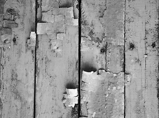 포토 JPG 해외이미지 나무 디자인 벽 가구 백그라운드 패턴 자연 표면 날씨 바닥 사람없음 목재 장식 갈색 어둠 줄무늬 수확 골동품 시골 판넬 거친 널 낟알 책상 질감 복고 매듭 목공예 스크래치 잡동사니 내추럴 구식 그런지 수목 옛날 합판 파케트 해외202004 해외포토 식물 컬러 생활용품 무늬 농업 재료 공예 생태계 파일형식 이미지허브