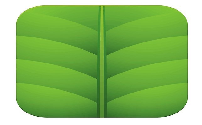 EPS 해외이미지 모양 식물 디자인 계절 꽃 줄기 컨셉 잎 일러스트 자연 새로움 건강 미술 그래픽 초록색 물 여름 빛 환경 힘 봄 재활용 성장 나뭇가지 신선 액체 떨어짐 보호 매끈함 이슬 허브 심볼 사인 싱글 모종 묘목 엘리먼트 해외202004 해외일러스트 자연요소 나무 컬러 문화예술 감각 친환경 생태계 파일형식 벡터 이미지허브