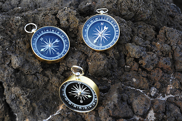 포토 JPG 해외이미지 모래 여행 백그라운드 컨셉 지도 비즈니스 자연 화살 산 건조 사람없음 야외 물 장미 금속 장비 탐험 공구 선택 나침반 방향 심볼 오브젝트 사인 북쪽 동쪽 네비게이션 자석 남쪽 발견 서쪽 위도 지리 많음 해외202004 해외포토 자연요소 꽃 재질 도구 생태계 파일형식 이미지허브