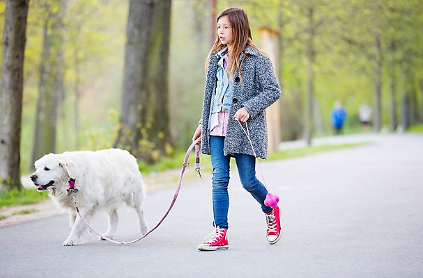 포토 JPG 주간 전신 서양인 외국인 동물 백인 한마리 해외 라이프스타일 공원 여자 유럽 어린이라이프 여유 어린이 모션 한명 사람 야외 앞모습 걷기 산책 개 즐거움 체코 여자만 여자한명만 어린이만 소녀만 소녀한명만 국내포토 자연요소 1 공공시설 감정 나라 뷰포인트 포유류 휴식 인종 생활 파일형식