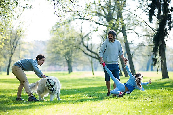 포토 JPG 주간 전신 서양인 외국인 동물 백인 한마리 해외 라이프스타일 공원 여자 남자 딸 유럽 어린이 장난 공 가족 모션 놀이 엄마 휴식 함께함 들기 사람 잔디 성인 야외 앞모습 옆모습 세명 다정 산책 가족라이프 아빠 개 체코 국내포토 자연요소 식물 1 공공시설 나라 뷰포인트 컨셉 포유류 관계 인종 생활 파일형식