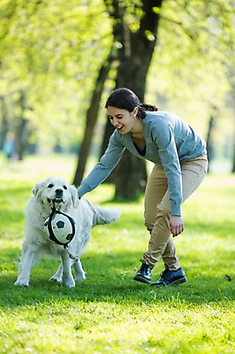 포토 JPG 주간 서양인 외국인 동물 백인 한마리 해외 라이프스타일 공원 여자 유럽 공 가족 모션 엄마 한명 미소 사람 잔디 성인 야외 앞모습 산책 가족라이프 개 물기 체코 여자만 여자한명만 성인여자만 성인만 국내포토 자연요소 식물 1 공공시설 나라 뷰포인트 포유류 관계 휴식 표정 인종 생활 파일형식