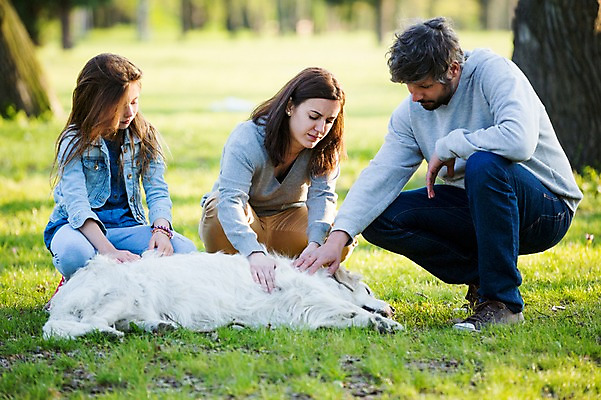 포토 JPG 주간 전신 서양인 외국인 나무 식물 동물 백인 한마리 해외 라이프스타일 공원 여자 남자 딸 유럽 어린이 가족 모션 엄마 휴식 함께함 사람 앉기 잔디 성인 야외 앞모습 세명 다정 산책 가족라이프 아빠 개 고민 체코 돌봄 국내포토 자연요소 1 공공시설 감정 나라 뷰포인트 컨셉 포유류 관계 인종 생활 파일형식