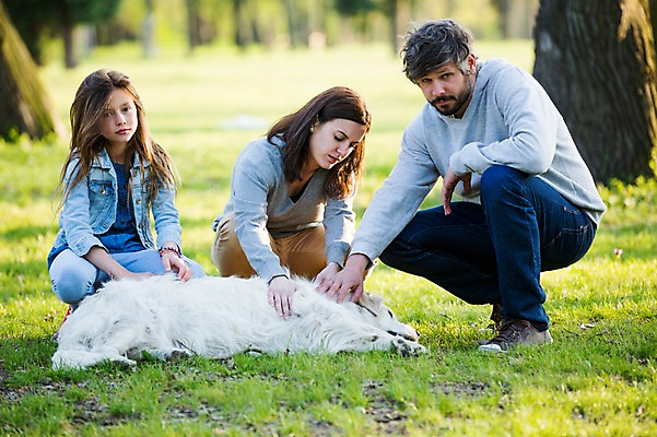 포토 JPG 주간 전신 서양인 외국인 나무 식물 동물 백인 한마리 해외 라이프스타일 공원 여자 남자 딸 유럽 어린이 가족 모션 엄마 휴식 함께함 사람 앉기 잔디 성인 야외 앞모습 세명 다정 산책 가족라이프 아빠 개 고민 체코 돌봄 국내포토 자연요소 1 공공시설 감정 나라 뷰포인트 컨셉 포유류 관계 인종 생활 파일형식