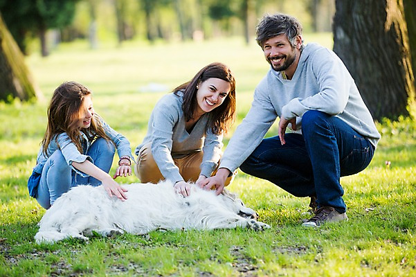 포토 JPG 주간 전신 서양인 외국인 나무 식물 동물 백인 한마리 해외 라이프스타일 공원 여자 남자 딸 유럽 어린이 가족 모션 엄마 휴식 함께함 사람 앉기 잔디 성인 야외 앞모습 세명 다정 산책 가족라이프 아빠 개 체코 국내포토 자연요소 1 공공시설 나라 뷰포인트 컨셉 포유류 관계 인종 생활 파일형식
