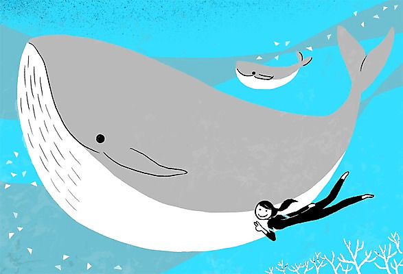 PSD 동물 여자 여유 두마리 일러스트 프레임 함께함 한명 사람 성인 바닷속 수영 고래 잠수 소통 여자만 여자한명만 성인여자만 성인만 국내일러스트 1 감정 컨셉 2 포유류 수중 수중동물 수상스포츠 파일형식