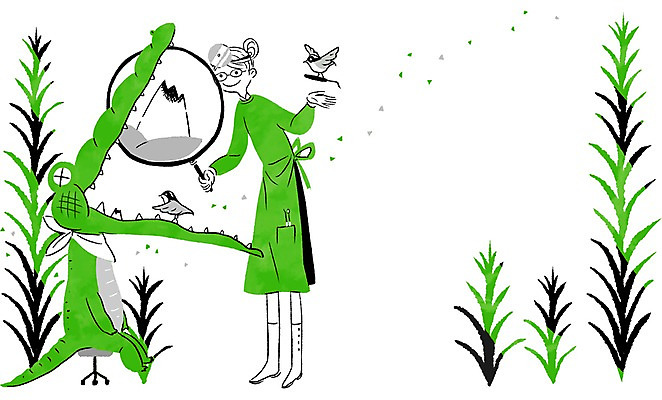 PSD 동물 여자 여유 일러스트 돋보기 프레임 함께함 한명 사람 성인 치료 의사 관찰 악어 소통 악어새 충치 여자만 여자한명만 성인여자만 성인만 국내일러스트 1 감정 컨셉 의학 파충류 모션 조류 의료진 질병 파일형식