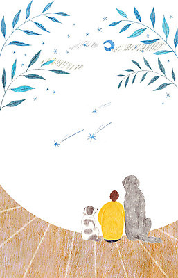 PSD 남자 별 두마리 일러스트 밤하늘 한명 사람 성인 야외 반려동물 달 강아지 야간 유성 남자만 남자한명만 성인남자만 성인만 국내일러스트 자연요소 동물 1 2 하늘 개 파일형식