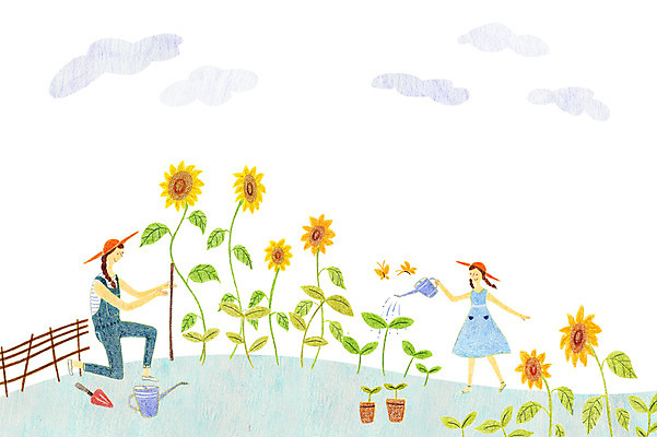 주간 PSD 여자 꽃 딸 화분 어린이 일러스트 엄마 해바라기 사람 성인 야외 두명 물뿌리개 삽 물주기 화단 정원가꾸기 여자만 국내일러스트 자연요소 식물 가족 모션 원예 파일형식