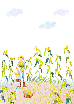 주간 PSD 남자 아들 어린이 일러스트 곡류 옥수수 사람 성인 야외 두명 바구니 아빠 농부 옥수수밭 남자만 국내일러스트 자연요소 직업 밭 가족 파일형식