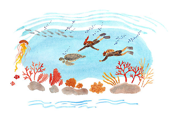 PSD 커플 여자 남자 여유 데이트 일러스트 사랑 어류 사람 성인 두명 바닷속 다정 돌_바위 산호 거북이 잠수 순수 스쿠버다이빙 해파리 설레임 성인만 국내일러스트 감정 컨셉 관계 파충류 수중 수중동물 수상스포츠 자포동물 파일형식