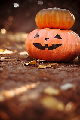 포토 JPG 주간 식물 계절 배경화면 백그라운드 단풍 낙엽 자연 호박 풍경 사람없음 야외 아웃포커스 가을풍경 할로윈 가을 감성 국내포토 자연요소 컨셉 잎 채소 촬영기법 생태계 파일형식 가을_계절