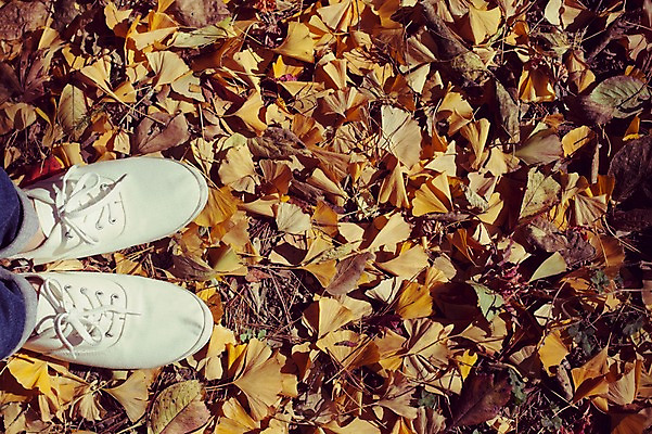 포토 JPG 주간 식물 계절 배경화면 백그라운드 신발 단풍 낙엽 발 자연 사람 풍경 야외 가을풍경 가을 감성 국내포토 자연요소 컨셉 잎 신체부위 생태계 파일형식 가을_계절