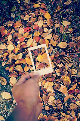 포토 JPG 주간 식물 손 계절 백그라운드 단풍 낙엽 자연 사람 풍경 야외 신체부위 가을풍경 가을 필름 폴라로이드 감성 국내포토 자연요소 컨셉 잎 카메라 생태계 파일형식 가을_계절