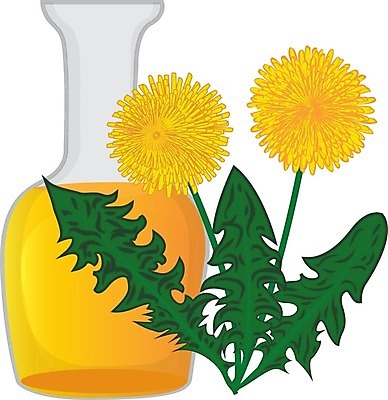 EPS 해외이미지 식물 디자인 꽃 잎 꽃무늬 일러스트 자연 건강 치료 초록색 약 라벨 건강관리 화장품 나뭇가지 약초 상품 민들레 약국 수집 허브 그림 유기농 향기 아로마 침엽수 성분 아로마테라피 내추럴 보충 바이오 채식주의자 해외202004 해외일러스트 나무 웰빙 컬러 무늬 의학 프레임 관리 뷰티 풀_식물 생태계 채식 냄새 테라피 파일형식 벡터 이미지허브