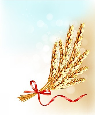 EPS 해외이미지 구름 템플릿 전통 디자인 계절 리본 음식 빵 백그라운드 잎 밭 농업 일러스트 자연 건조 맥주 건강 옥수수 미술 씨앗 빨간색 여름 농작물 농장 노란색 수확 성장 가을 흰색 황금 낟알 시리얼 밀 수집 심볼 오브젝트 사인 활 유기농 귀 내추럴 밭일 엘리먼트 호밀 해외202004 해외일러스트 자연요소 식물 웰빙 산업 컬러 문화예술 곡류 주류 신체부위 생태계 파일형식 벡터 이미지허브