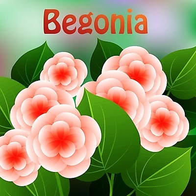 EPS 해외이미지 식물 디자인 꽃잎 꽃 꽃다발 백그라운드 잎 꽃무늬 패턴 일러스트 자연 벽지 사랑 미술 그래픽 장식 초록색 여름 정원 봄 수확 벚꽃 흰색 신선 냄비 스케치 질감 초대 내추럴 옛날 작약 스타일 해외202004 해외일러스트 계절 감정 컬러 무늬 농업 문화예술 솥 생태계 파일형식 벡터 이미지허브