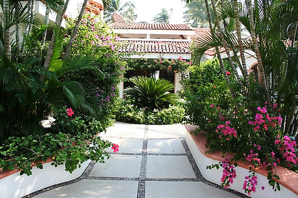 포토 JPG 해외이미지 식물 꽃 창문 교실 유리 성공 멕시코 주택 손바닥 풍경 사람없음 금융 정원 재산 맨션 입장 조경 지역 이웃 독립 전용 진짜 플로리다 해외202004 해외포토 손 교육 컨셉 북아메리카 학교 재질 건물 경제 미국 파일형식 이미지허브