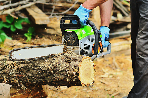 포토 JPG 해외이미지 나무 직업 손 산업 포즈 자연 노동자 수염 사람 성인 사람없음 야외 목재 빛 갈색 힘 기계 일몰 장비 공구 소나무 업무 칼날 숲 헬멧 장작 자르기 통나무 먼지 도끼 잡동사니 벌목 솜씨 수목 재주꾼 전기톱 톱밥 해외202004 해외포토 식물 컬러 재료 모션 신체부위 노을 도구 작업 보호장비 가루 생태계 톱 파일형식 이미지허브