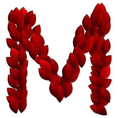 EPS 해외이미지 식물 캐릭터 디자인 알파벳 계절 꽃잎 꽃 컨셉 잎 꽃무늬 일러스트 텍스트 자연 빨간색 여름 세트 장미 정원 봄 활발 흰색 신선 편지 수집 심볼 오브젝트 사인 유기농 질감 생물학 M 타입 내추럴 고립 바이오 스타일 해외202004 해외일러스트 일러캐릭터 웰빙 영어 교육 컬러 무늬 생태계 파일형식 벡터 이미지허브