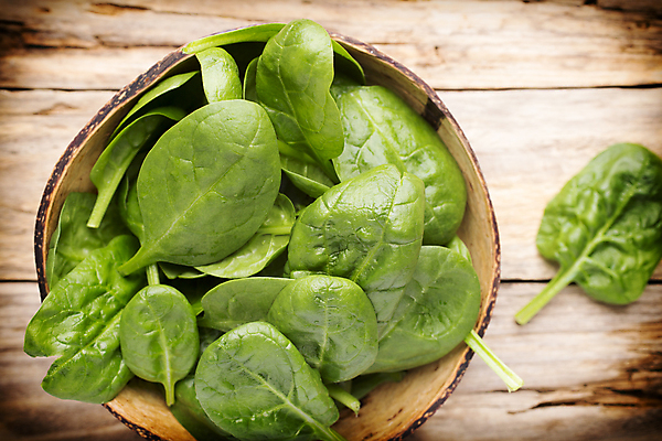 포토 JPG 해외이미지 식물 음식 백그라운드 잎 채소 재료 건강 사람없음 초록색 우주 흰색 신선 그룹 먹기 오브젝트 유기농 시금치 흙더미 고립 채식주의자 해외202004 해외포토 웰빙 컬러 모션 흙 채식 파일형식 더미 이미지허브