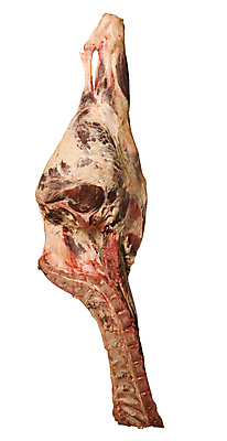 포토 JPG 해외이미지 동물 음식 뼈 육류 사람없음 소고기 흰색 흰배경 서식 날것 정물화 해외202004 해외포토 컬러 백그라운드 식재료 그림 파일형식 이미지허브