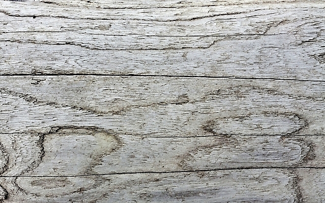 포토 JPG 해외이미지 나무 조각 무늬 부분 표면 날씨 사람없음 야외 목재 갈색 회색 시골 반지 얼룩 거친 닫기 자르기 버리기 묘사 질감 복고 매듭 통나무 먼지 나무껍질 내추럴 그런지 옛날 노화 개조 해외202004 해외포토 식물 컬러 컨셉 재료 장신구 모션 껍질 파일형식 이미지허브