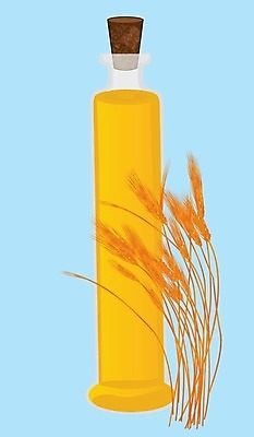 EPS 해외이미지 식물 디자인 음식 빵 백그라운드 농업 다이어트 채소 일러스트 건강 옥수수 씨앗 그래픽 주방 수확 시골 시장 플랫 상품 낟알 시리얼 밀 먹기 메밀 허브 심볼 사인 유기농 날것 내추럴 단백질 밭일 작살 채식주의자 비건 해외202004 해외일러스트 웰빙 산업 식재료 모션 곡류 채식 영양소 파일형식 벡터 이미지허브