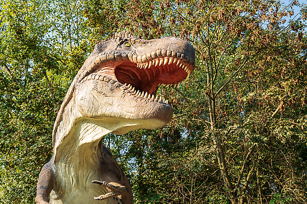 포토 JPG 해외이미지 나무 동물 모델 공원 조각 여행 백그라운드 파충류 자연 사람없음 야외 초록색 세계 조각상 여행객 맑음 입 역사 닫기 숲 큼 전시회 공룡 육식동물 화석 멸종 선사시대 내추럴 몬스터 옛날 쥬라기 해외202004 해외포토 식물 공공시설 컬러 모션 날씨 사람 신체부위 조형물 전시 크기 생태계 파일형식 이미지허브