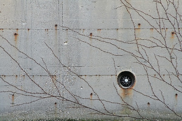 포토 JPG 해외이미지 식물 외관 벽 백그라운드 건축양식 독일 사람없음 야외 건물 회색 나뭇가지 도시 원형 구멍 덩굴 묘사 부식 전쟁 시멘트 먼지 아이비 그런지 벌거벗은 썩음 옛날 콘크리트 함부르크 해외202004 해외포토 도형 나무 건축물 건축 유럽 컬러 파일형식 이미지허브