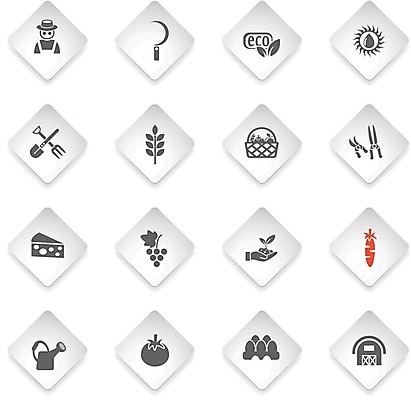 EPS 해외이미지 농업 토마토 일러스트 포도 치즈 태양 새싹 당근 물뿌리개 농부 밀 삽 심볼 에코 낫 격납고 쇠스랑 해외202004 해외일러스트 자연요소 식물 직업 산업 채소 과일 유제품 곡류 뿌리채소 환경 파일형식 벡터 이미지허브