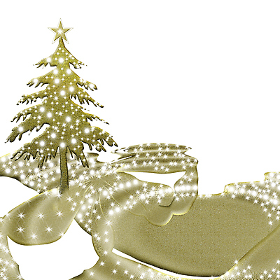 포토 JPG 해외이미지 나무 별 종교 크리스마스 프레임 사람없음 빛 크리스마스트리 산타클로스 희망 공백 덮개 흰색 신용카드 황금 고급 우아함 엽서 전나무 고립 노엘 카피스페이스 해외202004 해외포토 자연요소 식물 기념일 감정 컬러 컨셉 금융 뚜껑 편지 파일형식 이미지허브