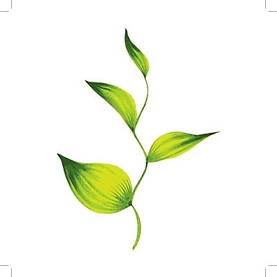 EPS 해외이미지 나무 식물 손 디자인 문화 음식 백그라운드 잎 패턴 일러스트 자연 수채화 미술 여러명 장식 초록색 여름 중국 페인트 봄 수확 흰색 나뭇가지 시간 차 떨어짐 만화 허브 유기농 질감 복고 동쪽 부족 내추럴 고립 구성 우크라이나 해외202004 해외일러스트 웰빙 계절 유럽 아시아 음료 컬러 다수 컨셉 무늬 농업 문화예술 사람 신체부위 방향 생태계 파일형식 벡터 나라 산업 이미지허브