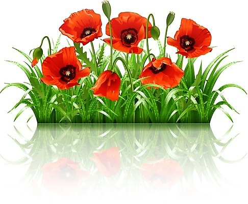 EPS 해외이미지 식물 계절 꽃잎 꽃 꽃다발 잎 꽃무늬 밭 일러스트 자연 휴식 장식 빨간색 초록색 여름 머리 정원 봄 활발 신선 개화 5월 허브 묘사 흰배경 양귀비 내추럴 고립 생태학 해외202004 해외일러스트 교육 컬러 백그라운드 컨셉 무늬 농업 신체부위 흰색 날짜 생태계 파일형식 벡터 이미지허브