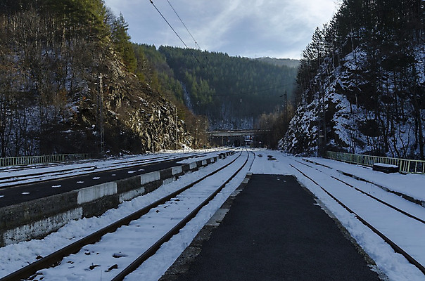 포토 JPG 해외이미지 나무 선 여행 비즈니스 사람없음 야외 초록색 여름 기차 바위 닫기 떨어짐 연결 방향 단상 내추럴 무한 선로 해외202004 해외포토 식물 계절 육상교통 컬러 컨셉 모션 대중교통 돌_바위 파일형식 이미지허브