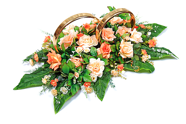 포토 JPG 해외이미지 식물 기념일 꽃잎 꽃 행복 꽃다발 결혼 백그라운드 잎 꽃무늬 오렌지 자연 결혼식 휴가 기념 선물 사랑 이벤트 사람없음 초록색 장미 노란색 정원 봄 벚꽃 흰색 축하 반지 고급 우아함 배열 꽃집 슛 부드러움 고립 구성 해외202004 해외포토 계절 감정 컬러 컨셉 무늬 과일 장신구 상점 감각 생태계 파일형식 이미지허브