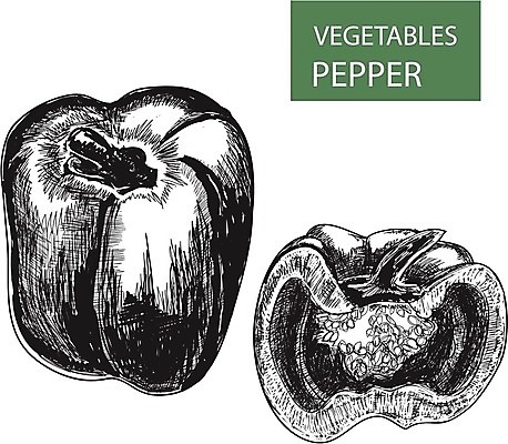 EPS 해외이미지 디자인 음식 채소 일러스트 재료 고추 멕시코 파프리카 요리 빨간색 초록색 세트 노란색 라벨 주방 식당 추위 신선 뜨거움 양념 달콤 맛 수집 먹기 심볼 향신료 사인 흰배경 매움 후추 흙더미 고립 숙성 채식주의자 할라피뇨 해외202004 해외일러스트 컬러 백그라운드 컨셉 북아메리카 모션 프레임 상점 흙 흰색 채식 향미료 파일형식 벡터 더미 이미지허브