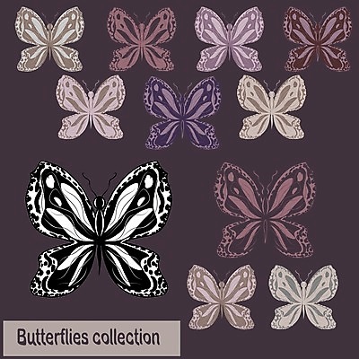 EPS 해외이미지 모양 동물 디자인 실루엣 야생동물 나비 곤충 백그라운드 곡선 날개 일러스트 자연 추상 흑백 창조 미술 그래픽 장식 여름 환경 검은색 봄 활발 소용돌이 흰색 우아함 만화 심볼 오브젝트 그림 공상 나방 내추럴 고립 엘리먼트 스타일 해외202004 해외일러스트 계절 선 컬러 컨셉 무늬 문화예술 촬영기법 회오리 생태계 파일형식 벡터 이미지허브