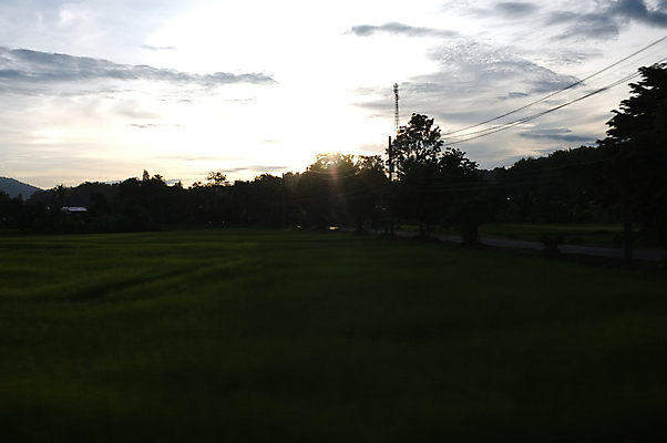 포토 JPG 해외이미지 나무 실루엣 호수 여행 백그라운드 밭 자연 하늘 아침 풍경 잔디 사람없음 야외 초록색 물 여름 파란색 빛 햇빛 태양 농장 노란색 일출 환경 일몰 새벽 기차 안개 광선 시골 저녁 상승 스카이라인 내추럴 선로 파라다이스 수평선 해외202004 해외포토 주간 자연요소 식물 계절 육상교통 컬러 컨셉 농업 날씨 대중교통 촬영기법 노을 야간 생태계 파일형식 이미지허브