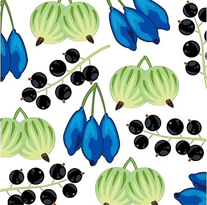 EPS 해외이미지 열매 패턴 과일 일러스트 자연 벽지 장식 식사 수확 맛 흰배경 유기농 건포도 구스베리 숙성 식용 해외202004 해외일러스트 식물 웰빙 백그라운드 컨셉 무늬 농업 포도 흰색 생태계 건과일 파일형식 벡터 이미지허브