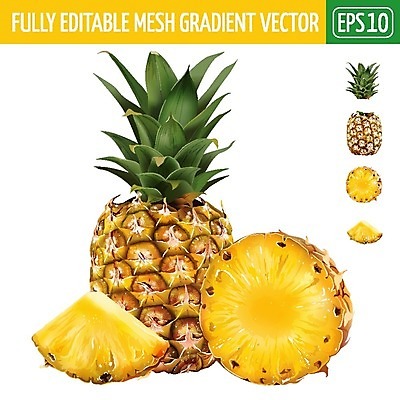EPS 해외이미지 조각 일러스트 단면 사람없음 노란색 파인애플 슬라이스 해외202004 해외일러스트 컬러 과일 열대과일 파일형식 벡터 이미지허브