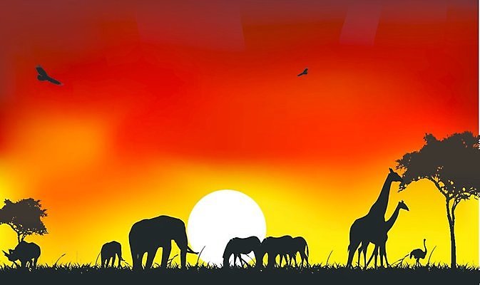 EPS 해외이미지 나무 식물 동물 디자인 실루엣 호수 야생동물 여행 백그라운드 밭 오렌지 일러스트 아프리카 자연 하늘 휴가 미술 풍경 가로 물 여름 햇빛 태양 노란색 일출 검은색 황혼 일몰 뜨거움 황금 야간 땅 그림 클립 독수리 얼룩말 케냐 타조 해외202004 해외일러스트 자연요소 계절 나라 컬러 농업 과일 조류 문화예술 촬영기법 노을 말_동물 생태계 파일형식 벡터 이미지허브
