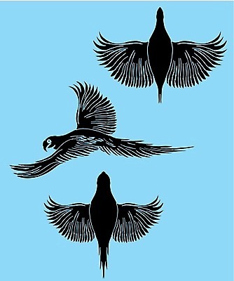 EPS 해외이미지 클립아트 실루엣 길 날개 일러스트 자연 갈매기 조류 오리 병아리 종류 파란색 세트 검은색 자르기 왜가리 플라밍고 문신 깃털 기중기 비둘기 사냥 클립 앵무새 윤곽 독수리 참새 거위 부족 벌새 집게발 황새 해외202004 해외일러스트 동물 컬러 컨셉 모션 촬영기법 중장비 생태계 파일형식 벡터 이미지허브