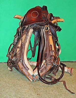 포토 JPG 해외이미지 사람없음 전시 전시회 쇼 조랑말 당나귀 해외202004 해외포토 말_동물 파일형식 이미지허브